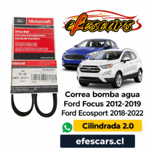 01-019-03 | Correa Bomba Agua Focus 2014-18 Eco 2018-21 2.0 Orig