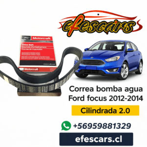 01-019-03 | Correa Bomba Agua Focus 2012-2014 Orig